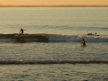 DSCN0730.JPG