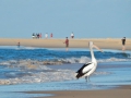 DSCN2936.JPG